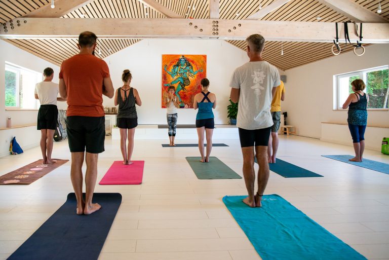 Yoga festival 2022-776